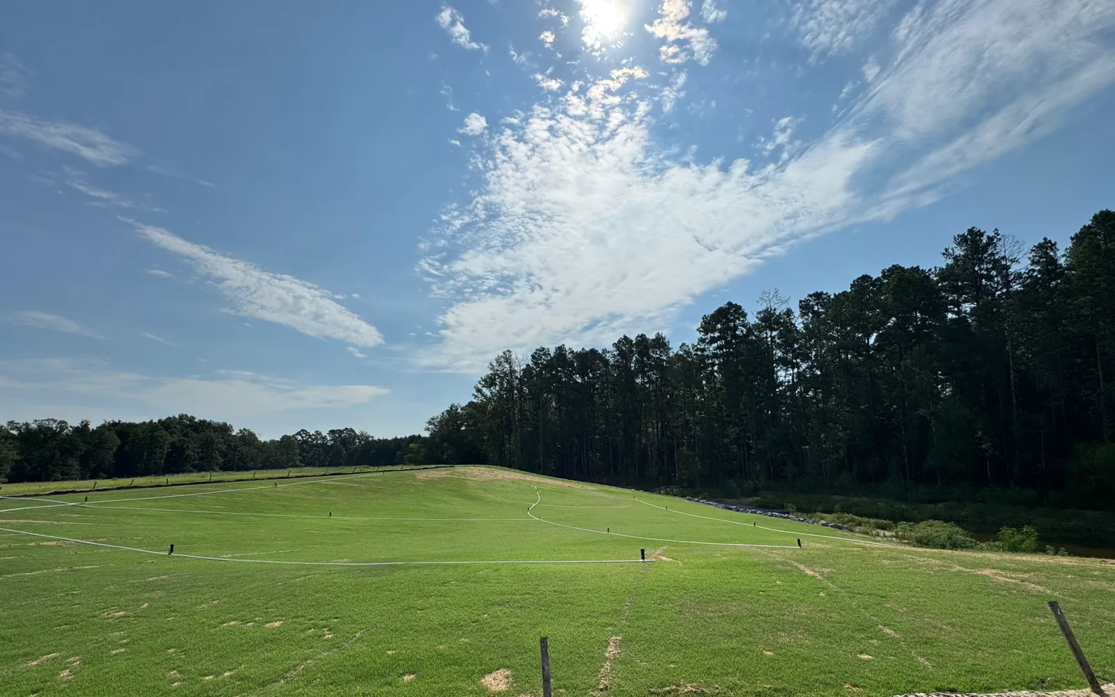 The same slope fully vegetated with dense green grass under a blue sky