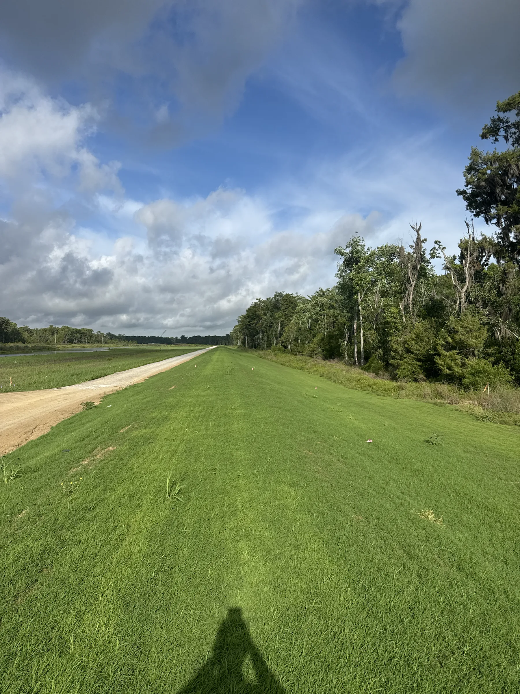 Ground conditions documented at the WSLP 109 project